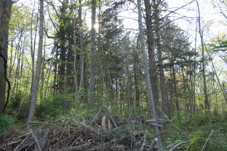 Enlarge photo 11