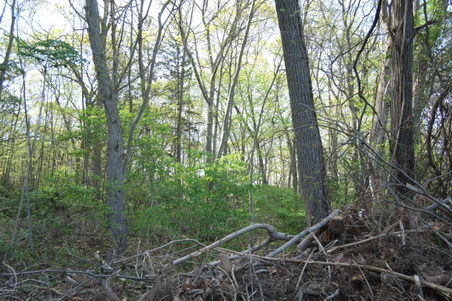 Enlarge photo 12