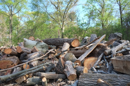 Enlarge photo 13