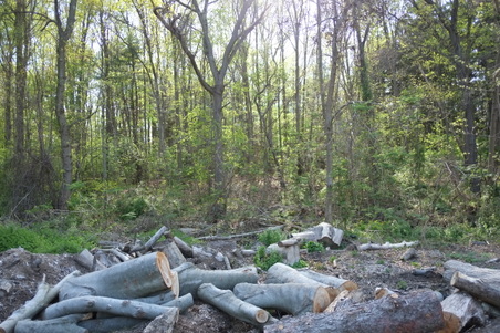 Enlarge photo 14
