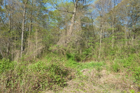 Enlarge photo 15