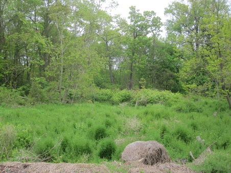 Enlarge photo 21