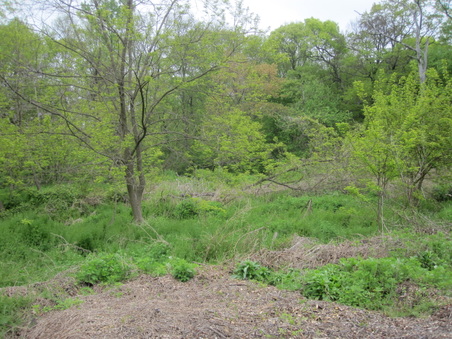 Enlarge photo 22
