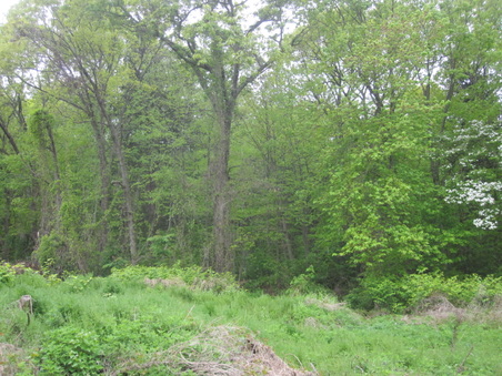 Enlarge photo 23