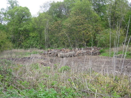 Enlarge photo 26