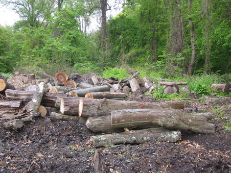 Enlarge photo 29