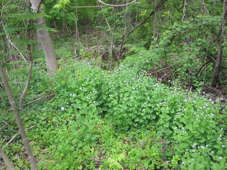Enlarge photo 31