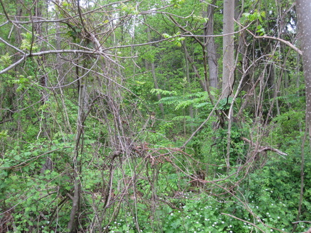 Enlarge photo 32