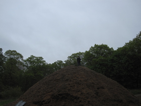 Enlarge photo 34