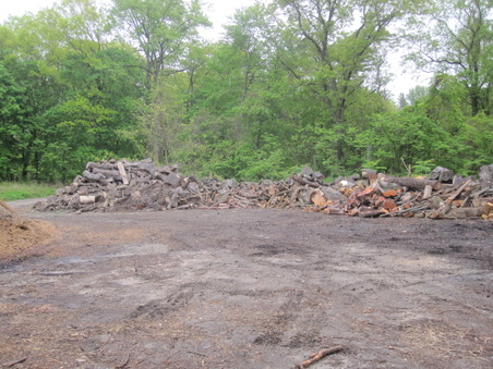 Enlarge photo 35