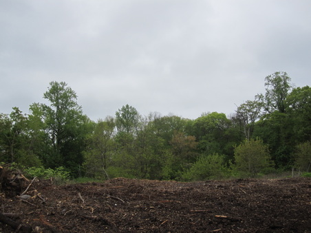 Enlarge photo 37