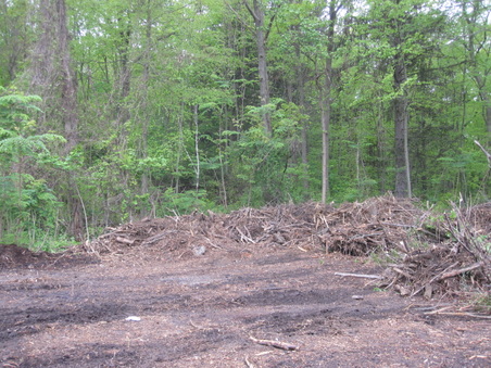 Enlarge photo 40