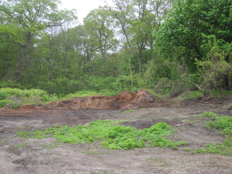 Enlarge photo 41