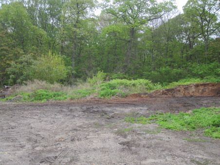 Enlarge photo 42