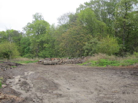 Enlarge photo 43
