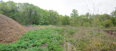 Enlarge photo 16