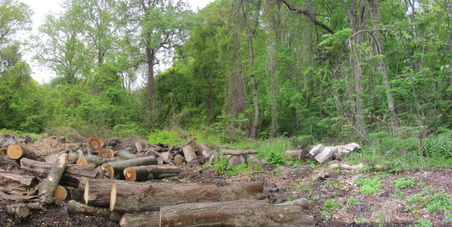 Enlarge photo 19