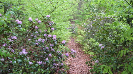Enlarge photo 19