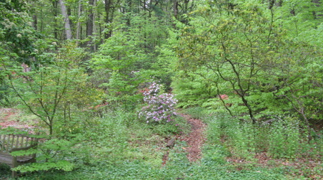Enlarge photo 17