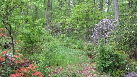 Enlarge photo 16