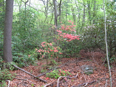 Enlarge photo 13