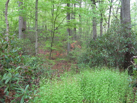 Enlarge photo 12