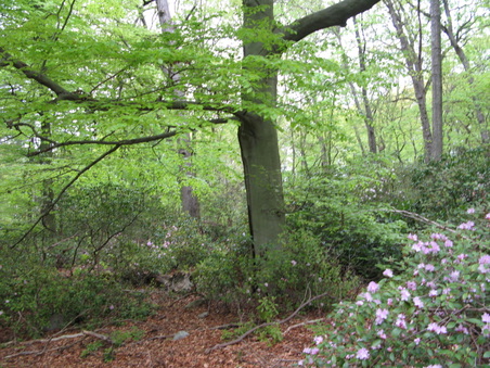 Enlarge photo 10