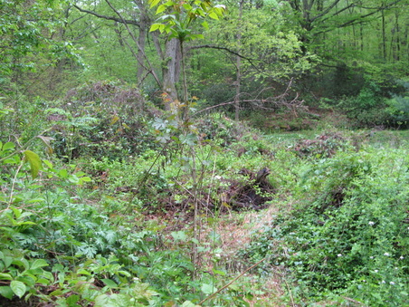 Enlarge photo 9