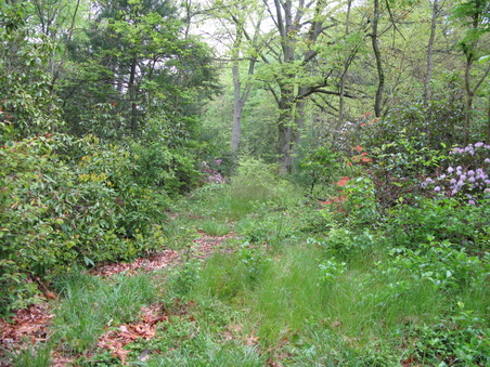 Enlarge photo 8
