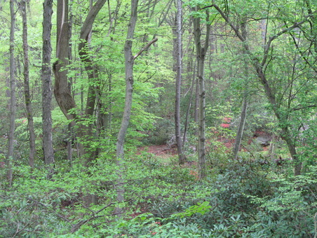 Enlarge photo 3