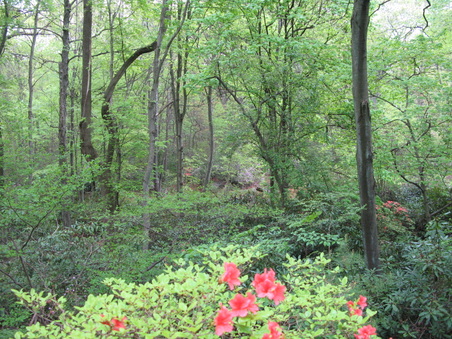 Enlarge photo 2