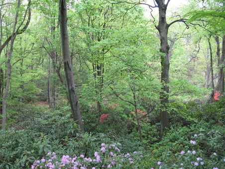 Planting Fields -Memorial Trail