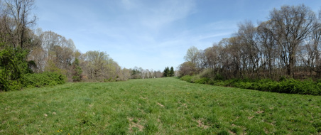 Planting Field- Smaller Field