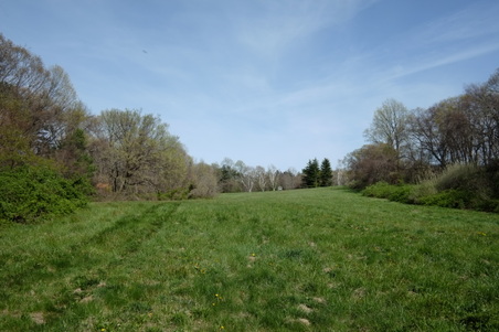 Enlarge photo 2