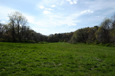 Enlarge photo 4