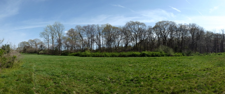 Enlarge photo 5