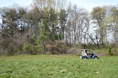 Enlarge photo 10