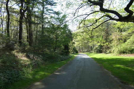 Planting Fields- Memorial Drive