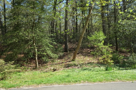 Enlarge photo 2