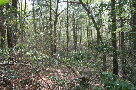 Enlarge photo 4