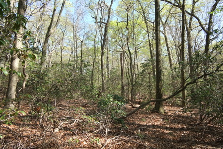 Enlarge photo 5