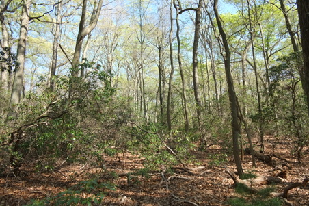 Enlarge photo 6
