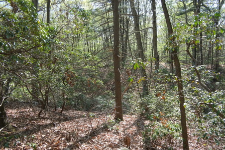 Enlarge photo 7
