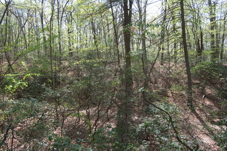 Enlarge photo 8