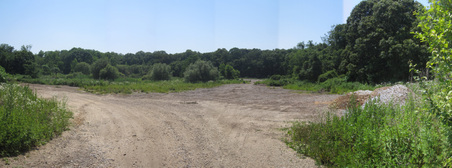 Planting Fields
