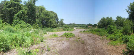Enlarge photo 11