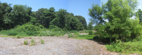 Enlarge photo 17