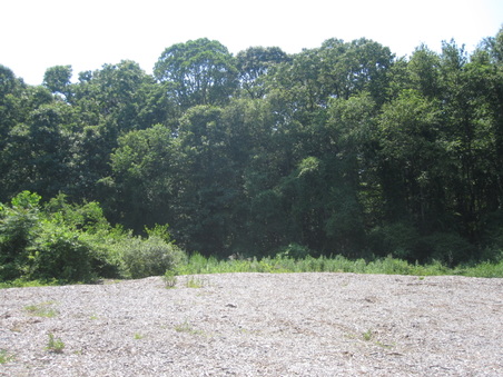 Enlarge photo 18