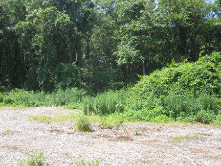 Enlarge photo 19