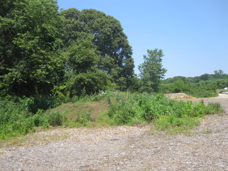 Enlarge photo 20